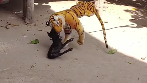 prank dog _ Wow Fake Tiger Prank Dog _ Funny vlog _ pranking 2023