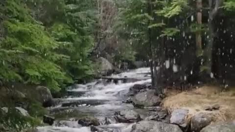 relaxing forest mountain river no birds with rain | raining sounds for sleeping