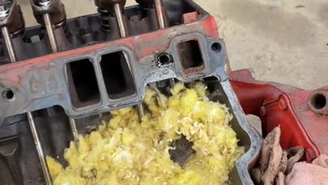 Mice Make Their Home in an Engine