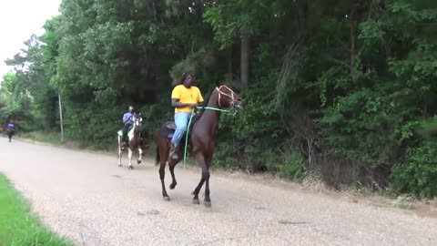 "BIG" Front Action Ryders Annual Walking Horse Trail Ride in Ogden, Arkansas-6