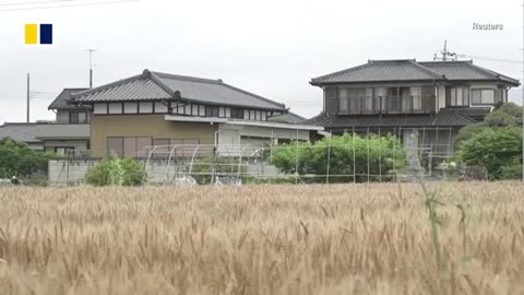 Costco Japan brings steady income to rural homes