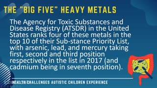50 of 63 - The Big Five Heavy Metals - Health Challenges Autistic Children Experience