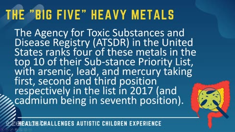 50 of 63 - The Big Five Heavy Metals - Health Challenges Autistic Children Experience