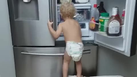 Funny basset Hound and Baby break into Fridge