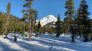 Peak Views From Forest – Mount Hood – Oregon – 4K