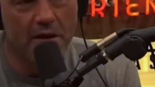 Joe Rogan Getting Interrupted By Neil deGrasse Tyson - JRE Funny Moments