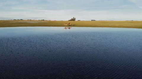 Horse Riding Argentina | 2022