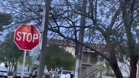 Kids Stealing from a Walgreens. This is a sad video.