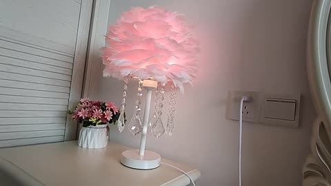 feimefeiyou Modern Bedside reading Room Living room feather crystal table lamp for bedroom light Art