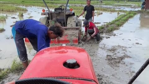 Rice field tractor