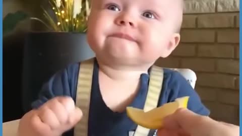 Reaction of small children while sucking lemon juice for the first time.