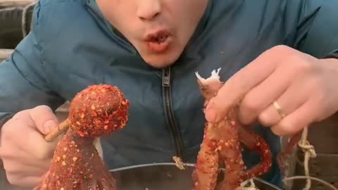 Eating octopus