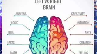 The Left vs Right Brain | Did you know? #healthfacts #bodyfacts #medicalfacts #didyouknow