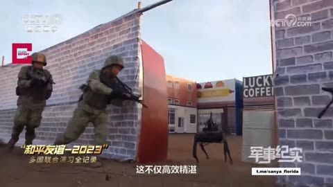 Chinese innovation - robot dog stormtrooper. It's got a rifle on its back.