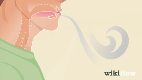 How To Whistle
