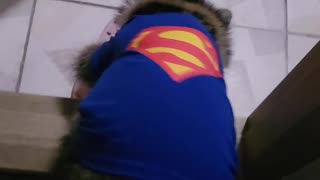 After the walk, the raccoon with superman suit jumps like an arrow and goes up to wash his hands