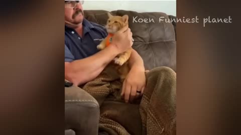 Funny Dogs And Cats Videos 2024 - Funniest Animal Videos Of The week