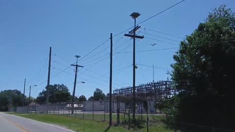 Osprey Birds of Prey