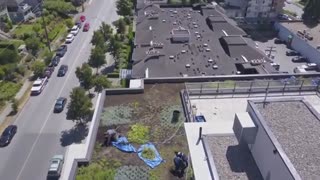 WCLG Vancouver Condo Strata Property Lawn Maintenance