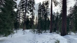 An Undiscovered Gem – Ochoco National Forest – Bandit Springs Sno-Park – Central Oregon – 4K