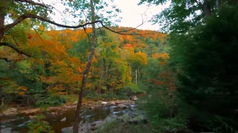 First Day of Fall 🍂 Autumn Overnight at Off Grid Riverside Cabin 🍁 Fall Foliage Adventures-13