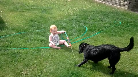 Laughing baby and dog playing with water