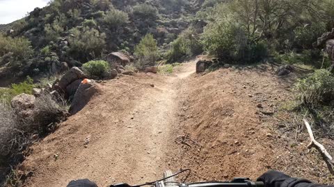 Going Down on Big Sister - Mesa, AZ