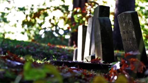 Cemetery with graves and plants around receiving sunlight [Free Stock Video Footage Clips]