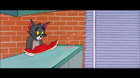 Tom & Jerry | Trouble Everywhere | Classic Cartoon Compilation