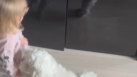 Dance with dog. Funny dance 💃🏼