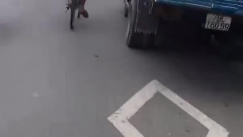 Young people riding bicycles hit a hammock on the road to receive a bitter ending