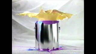 Sherwin Williams Paints Commercial (1995)