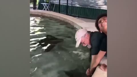 Funny Kids at the Aquarium _ Girl SPOOKED By A Beluga Whale!