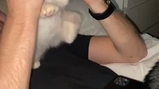 This Cat Loves a Good Ear Scratch