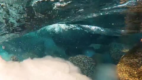 🌊 Natural sounds of a fast moving Alpine River 😍