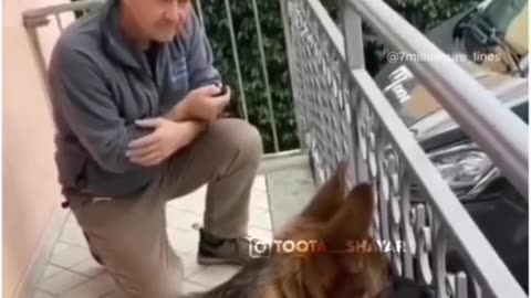 Honest Dog happy to his owner 😹