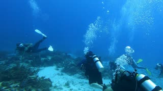 Cozumel 2022 with SCUBAVICE Dive Center Part 2