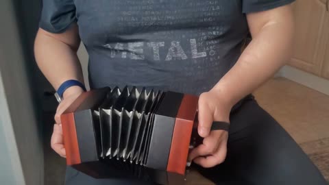 The Rattlin Bog polka on concertina!