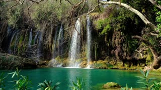 Waterfall Waterfall River Meta Nature Forest