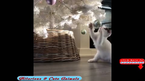 Funny Cats🐈‍⬛ and Dogs Christmas Fails🐶🤣