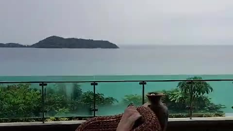 Nice View from Resort in Patong...