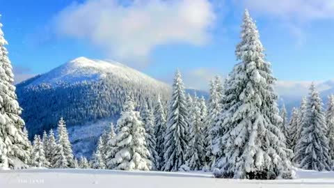 Peaceful Instrumental Christmas In The Pines-Tim Janis