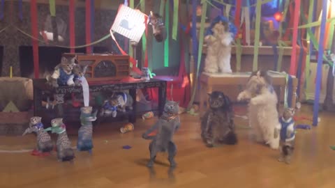 Epic Cat House Party: Feline Fiesta Extravaganza, Entertainment, Featured