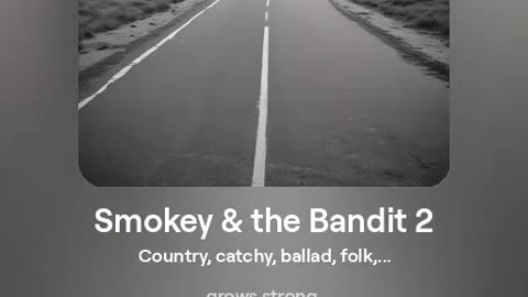 Smokey & the Bandit 2 ver 1