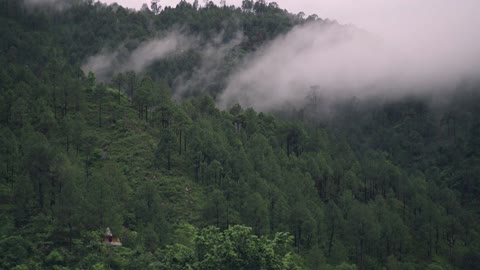 Birds Singing on the Lakeshore and Clouds Sounds Hills - Relaxing Nature Sounds