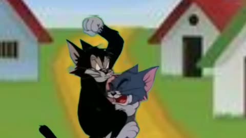 Tom and Jerry comedy cartoon video #comedy #cartoon #funny