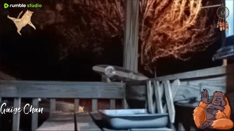 Critter Cam - Porch - Mvskoke Nation Oklahoma - 🇺🇸🦝