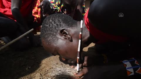 Daily routine of the Masais, one of the ancient tribes of East Africa