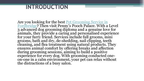 Best Pet Grooming Service in Fordbridge