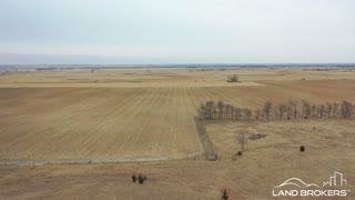 Merrick County Land | Near Palmer, Nebraska | Land Brokers, Inc.